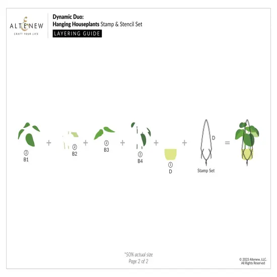 Dynamic Duo: Hanging Houseplants {4}