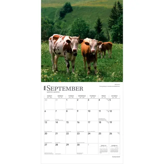Switzerland | 2026 12 x 24 Inch (Hanging) Monthly Square Wall Calendar | Plastic-Free {4}