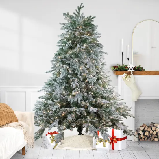 Northlight 7.5' Pre-Lit Full Frosted Butte Fir Artificial Christmas Tree - Clear AlwaysLit Lights Green {1}