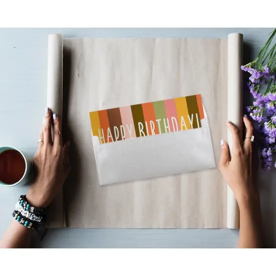 50 Pack #10 Metallic Silver Business Envelopes - Value Pack Rectangular Flap Envelopes - 4 1/8 x 9 1/2 Inches {3}