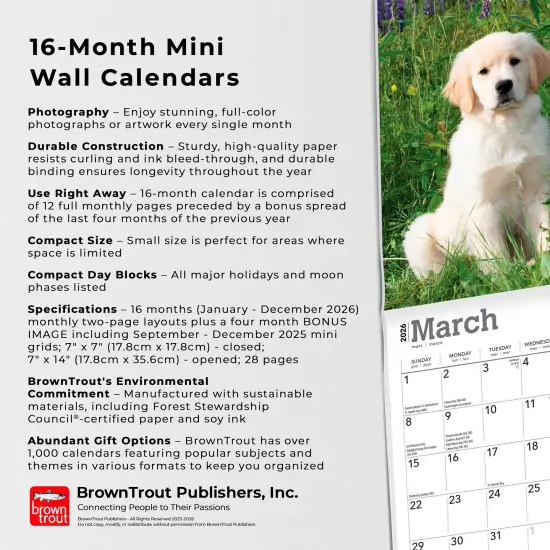Golden Retriever Puppies | 2026 7 x 14 Inch (Hanging) Monthly Mini Wall Calendar {6}