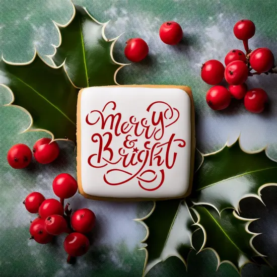 Merry & Bright Cookie & Craft Stencil | CM186 by Designer Stencils | Cookie Decorating Tools | {5}