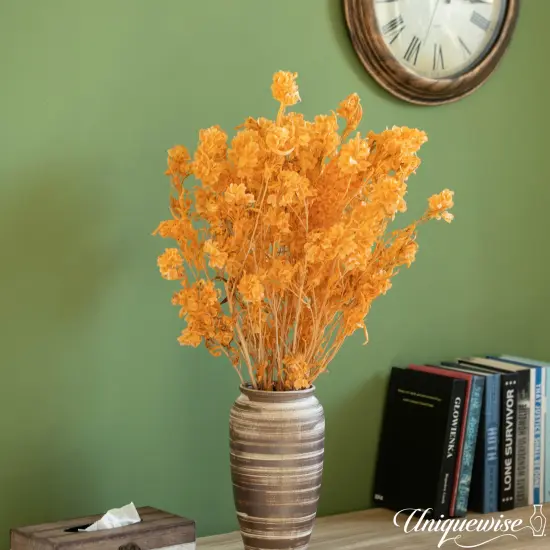 Uniquewise Preserved Real Floral Stems Chic Vase Fillers & Accents for Bouquets Centerpieces & Ornamental Displays Ideal for Home Office Boutique Cafe Resto Bar and Event Decor Lt champagne pansy {6}