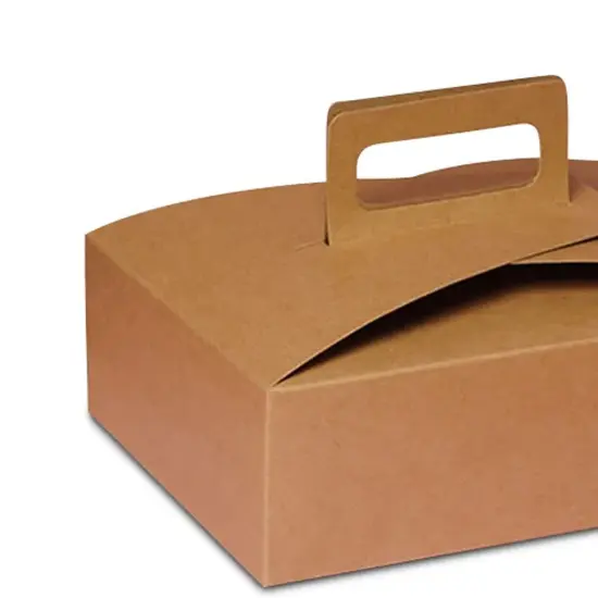 Flat Take Out Box with Handle Medium 9" x 7" x 3" {3}
