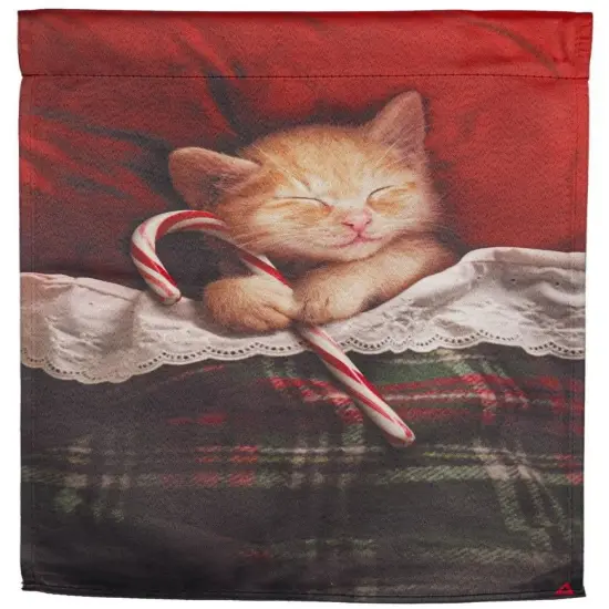 Candy Cane Kitten Christmas Garden Flag 2 Sided Decorative {1}
