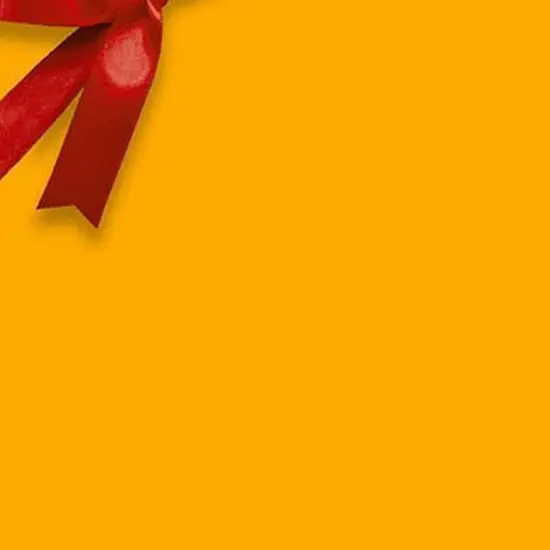 Classic Solid Wrapping Paper 24" x 417' 60 lbs for All Your Gifts {6}