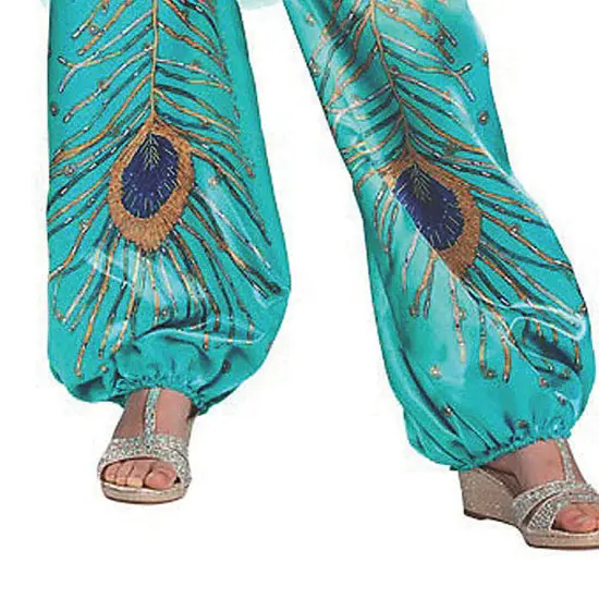 Jasmine Teal Classic Costume {4}