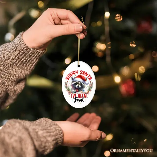 Sorry Santa I've Been Feral Ornament, Funny Raccoon Christmas Gift and Decor {6}