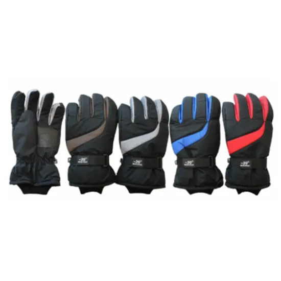 Solid Wing Assorted Ski Gloves for Winter Sports {1}