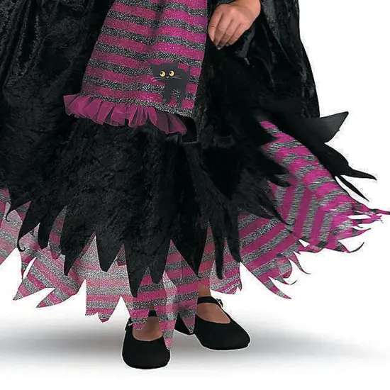 Girl's Fairytale Witch Costume {2}