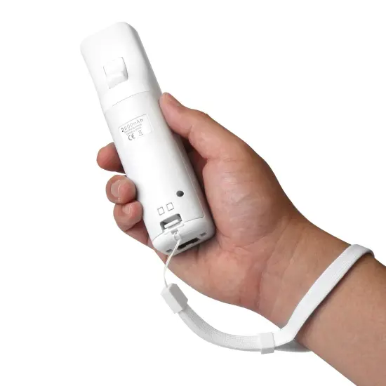 Insten Wrist Strap for Nintendo Wii/DS/DS Lite/PSP 1000/PSP slim 2000 Remote Control,White {3}