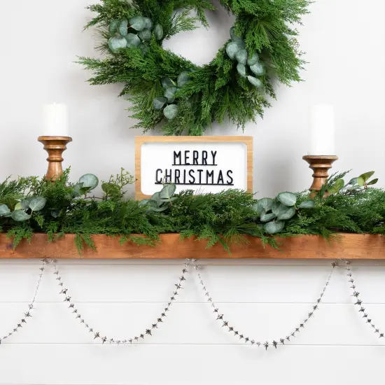 Northlight Shiny Star of Bethlehem Christmas Garland - 9' x 1" - Silver - Unlit {4}