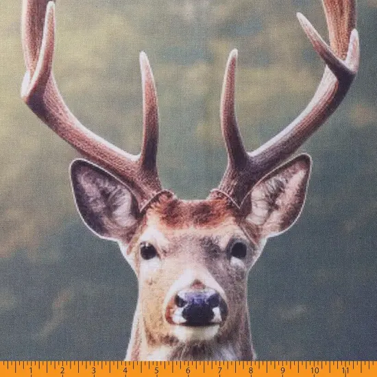 Mook Fabrics Wildlife Cotton Fabric [45 in. Wide] - By The Yard Deer (36" Panel) {2}
