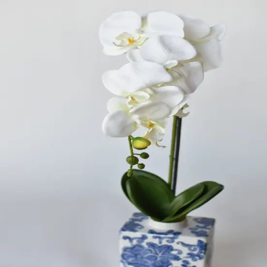 22" Faux Phalaenopsis Orchid in Blue/White Container - 1OR {3}