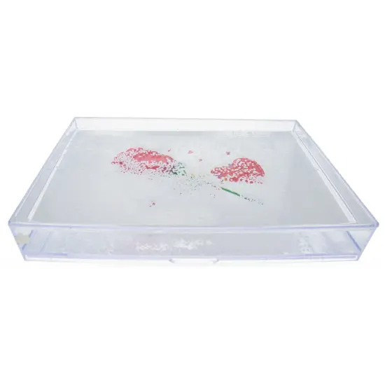 Rectangular Clear Acrylic Plastic Water Globe Picture Frame {4}