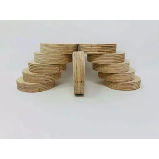 Kitcheniva 10 Pcs Thick Wood Circle Cutouts Wooden Blank Circles Crockpot Lid Crafts {6}