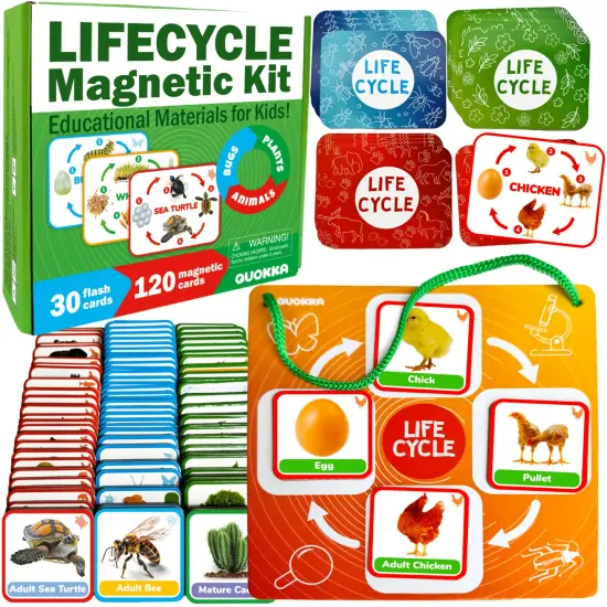 Lifecycle Magnetic Kit | Toy Montessori | Educational for Kids {1}