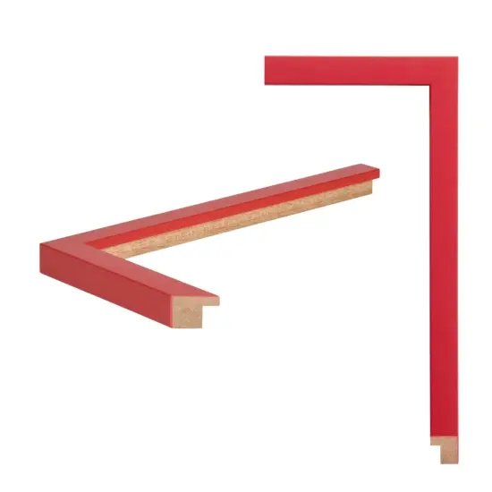 Modern Red Picture Frame Popular Sizes - Flat Modern Framing {3}