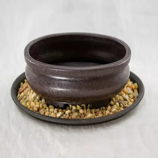 7" Oval Heavy Duty Plastic Bonsai / Succulent Pot + Tray + Rock + Mesh Combo {3}