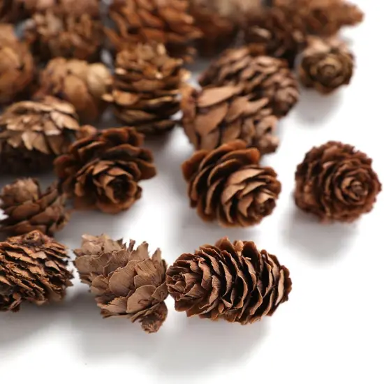 Pine Cones, Mini Pinecones in Bulk for Crafts, 8OZ, Pack of 110 (Natural) {3}