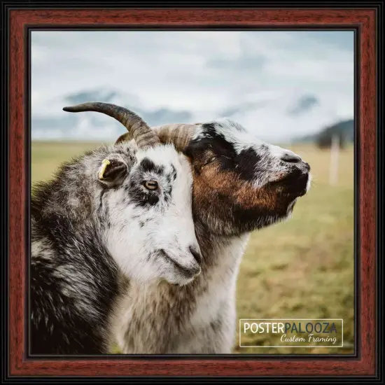 Photo Size Decor Brown Picture Frame - UV Acrylic, Foam Board Backing, Hanging Hardware {4}