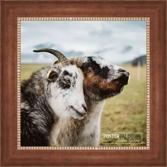 Square Traditional Brown Picture Frame - UV Acrylic, Foam Board Backing, Hanging Hardware {4}