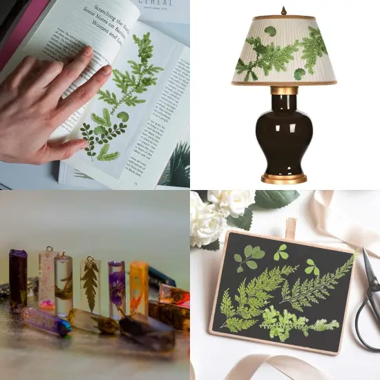 42 Pieces Dried Pressed Leaves for Resin {4}