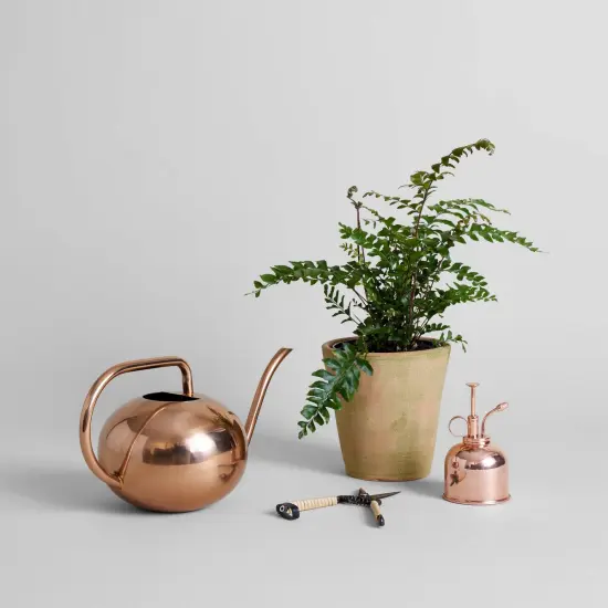 Greenwash Terracotta Studio Planter | No Tray | Size: Small by Bloomist {3}