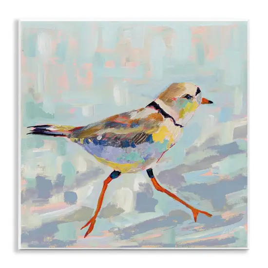 Stupell Industries Coastal Plover Abstract Bird Wall Plaque Design By Jeanette Vertentes {1}