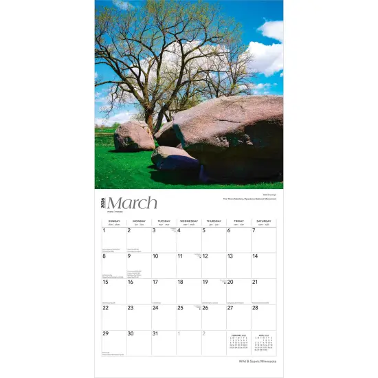 Minnesota Wild & Scenic | 2026 12 x 24 Inch (Hanging) Monthly Square Wall Calendar | Plastic-Free {3}