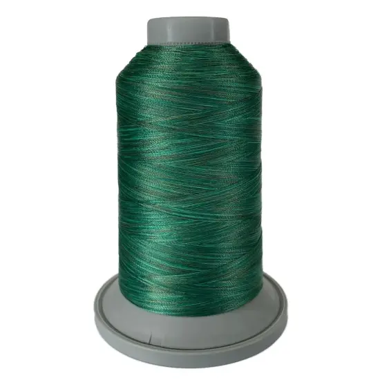 60293 Forest Affinity Variegated Polyester Thread {1}