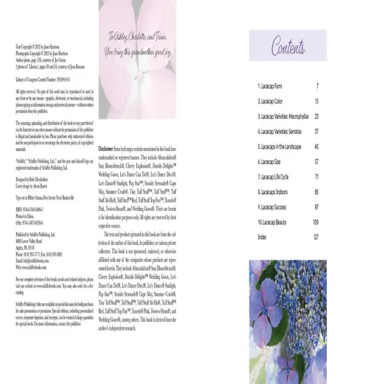 Lovely Lacecap Hydrangeas: Elegant Accents for the Home Garden {2}