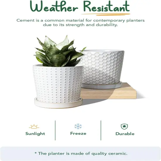Set of 2 5.4 Inch Ceramic Planters with Drainage Hole and Saucer (C&D Embossed Pattern) {4}