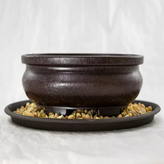 7" Oval Heavy Duty Plastic Bonsai / Succulent Pot + Tray + Rock + Mesh Combo {4}