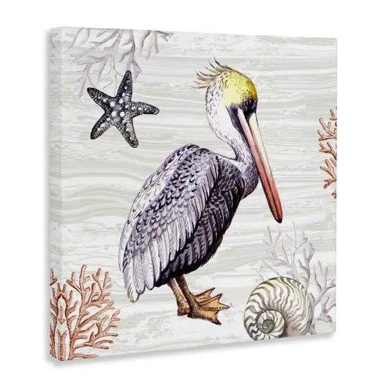 Stupell Industries Beach Bird Pelican Canvas Wall Art Design by Elena Vladykina {3}