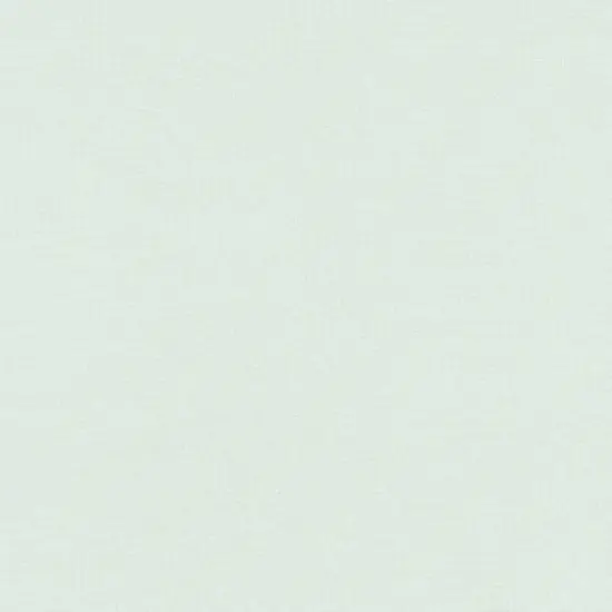 Kona Solid in Desert Green (k001-849) | Kona Cotton Solids | Robert Kaufman {1}