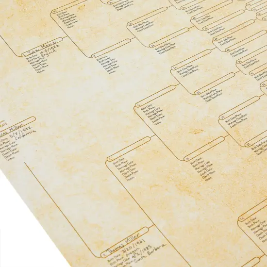 15 Pack Family Tree Charts to Fill In - Blank 8 Generation Genealogy Poster for Family History, Lineage, Reunions, Large Pedigree Ancestry Organizer (255 Total Name Spaces, 17x22 in) Brown {7}