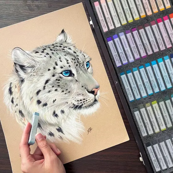 100 Professional Grade Soft Pastels - Artist Chalk Set in Wooden Box - Colored Drawing Art Supplies Kit - Pastel Colors for Painting, Sketching - Vibrant Pigments for Adults, Beginners {1}