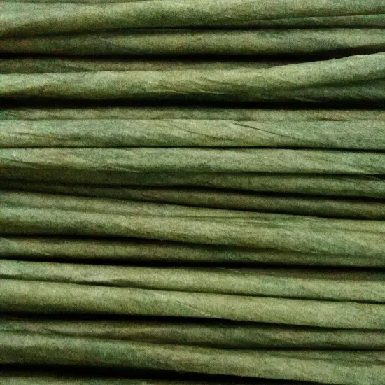 Floral Stem Wire, 100 Pcs, 2 Gauge, 10 Inch, Flower Stems, Artificial Green Crafts Wire Wreath Making Supplies for Flower DIY {1}