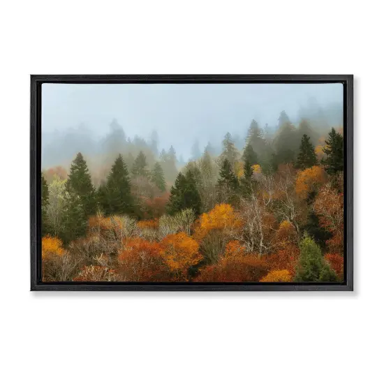 Stupell Industries Autumn Mountain Overview Floating Frame, design by D. Burt {1}