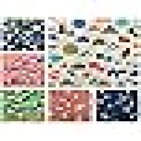 Mushroom Fabric Fat Quarters for Quilting {2}