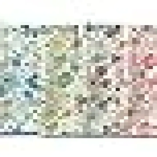 Quarters Fabric Bundles for Sewing & Quilting, Multicolor {3}