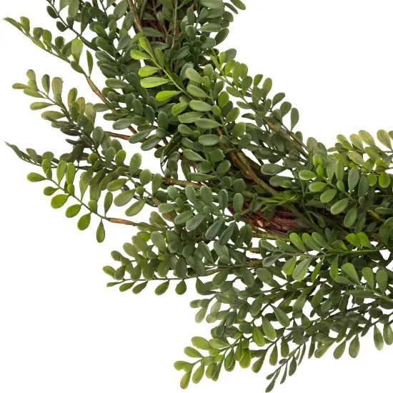 Northlight 32" Mixed Greens Lush Boxwood Artificial Wreath - Unlit {5}