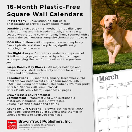 Yellow Labrador Retrievers | 2026 12 x 24 Inch (Hanging) Monthly Square Wall Calendar | Plastic-Free {6}