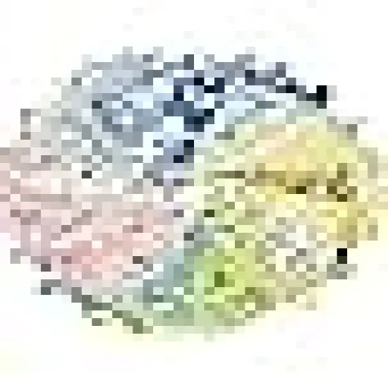 Cotton Fabric Squares 8x8 for Quilt Beginners {6}