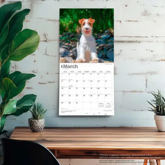 Jack Russell Terriers | 2026 12 x 24 Inch (Hanging) Monthly Square Wall Calendar | Plastic-Free {5}