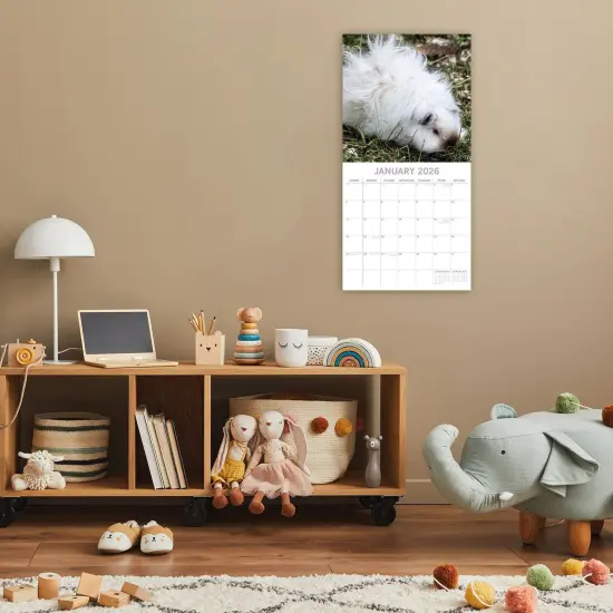 The Gifted Stationary 2026 Square Wall Calendar, Guinea Pigs, 16-Month Animals Theme Hanging Calendar with 180 Reminder Stickers, Month Planner for Home or Creative Spaces, 12x12 In Multicolor {2}