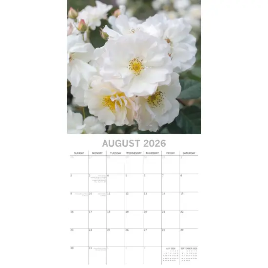The Gifted Stationary 2026 Square Wall Calendar, Roses, 16-Month Floral Theme Hanging Calendar with 180 Reminder Stickers, Monthly Family Planner for Home & Creative Spaces, (12x12 In) Multicolor {3}