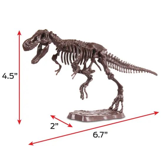 WowWorld: Dino Dig - Tyrannosaurus Rex - All-In-One Dinosaur Skeleton Excavation Kit, Tools & Construction Figurine, Educational Science Toy, Kids 6+ {7}