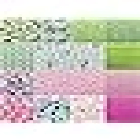 Layer Cake Fabric for Quilting {2}